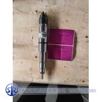 0445120562/ 1000946077   喷油器总成