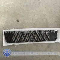 AZ16D424000002   保险杠下格栅