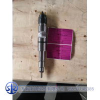 0445120562/ 1000946077   喷油器总成