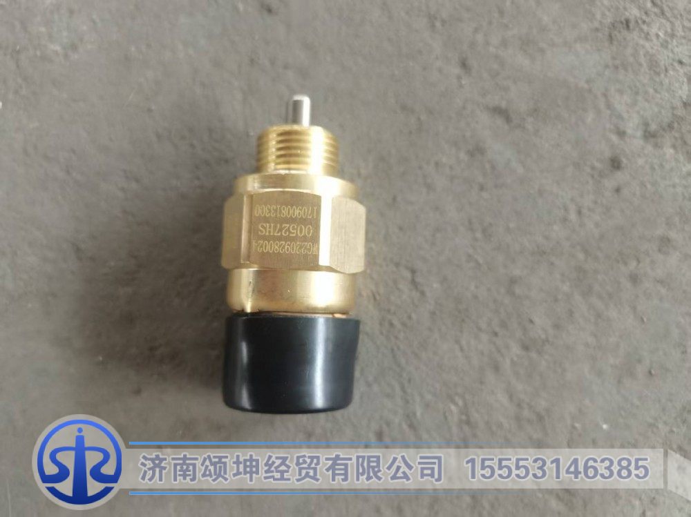 WG2209280024   高低档开关