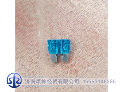 WG9716582301+ 004,15A片式熔断器,济南颂坤经贸有限公司