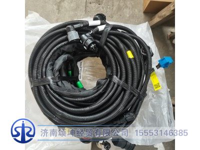 DZ97319773779,车架线束,济南颂坤经贸有限公司