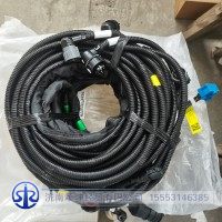 DZ97319773779   车架线束