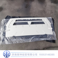 WG1662115010   散热器面罩