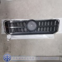 DZ15221115110   格栅总成