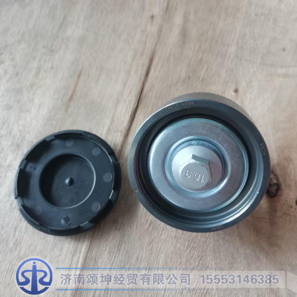 202V95800-6098   惰轮总成