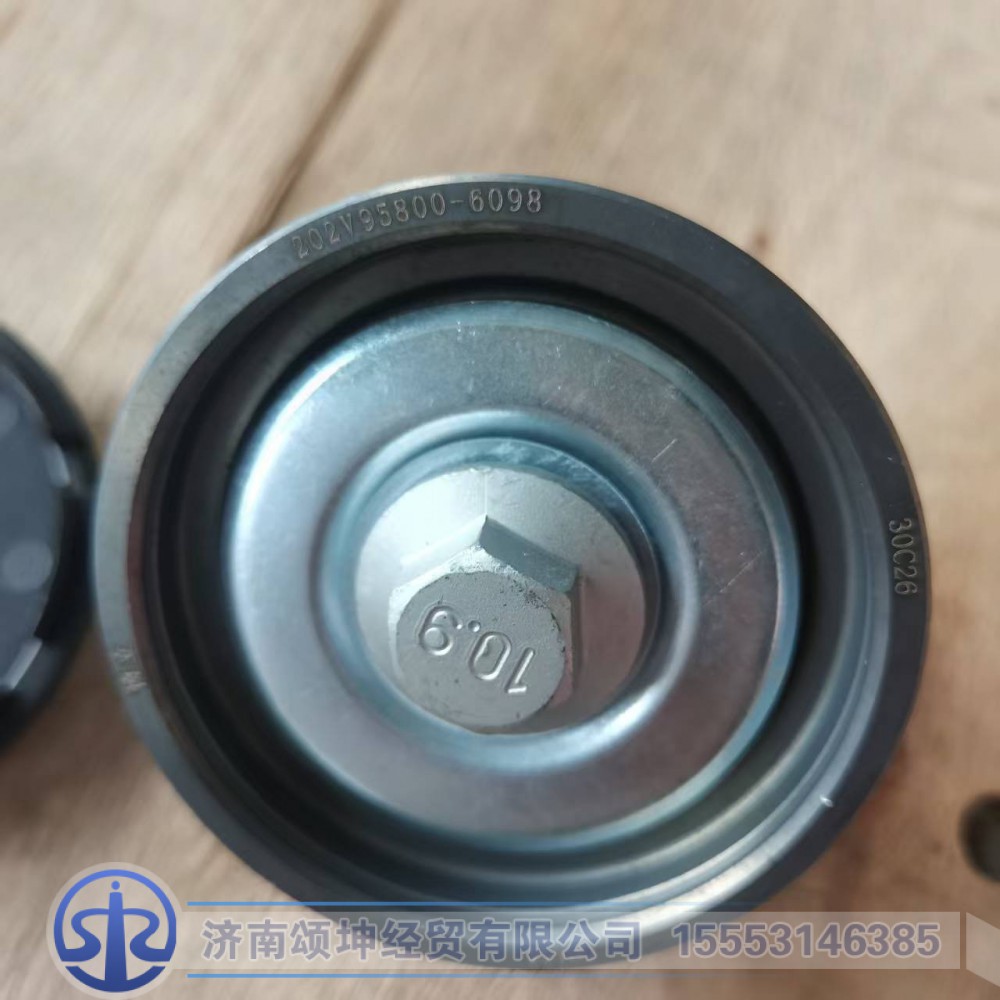202V95800-6098   惰輪總成/202V95800-6098