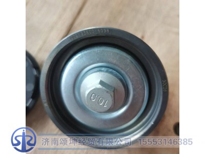 202V95800-6098   惰轮总成图3