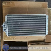 DZ14251841102   暖风芯体总成