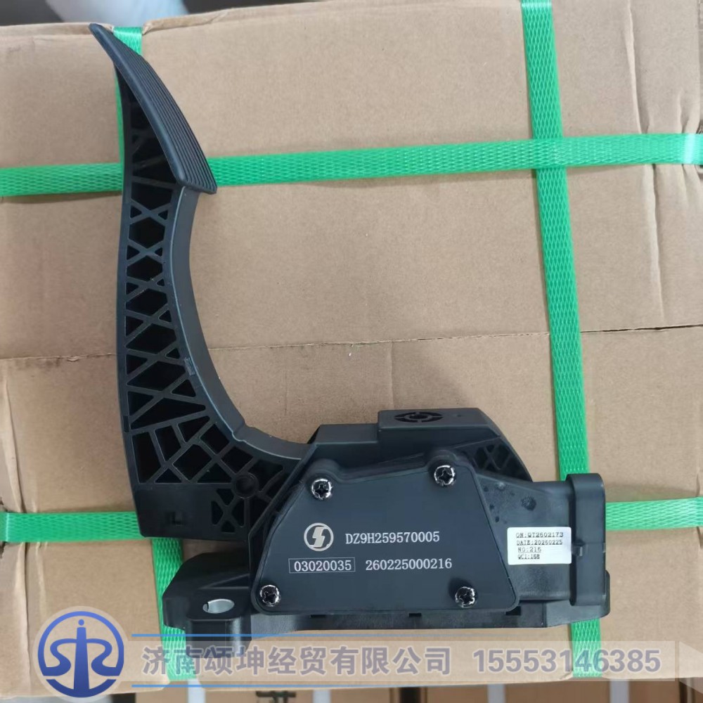 DZ9H259570005   加速踏板总成