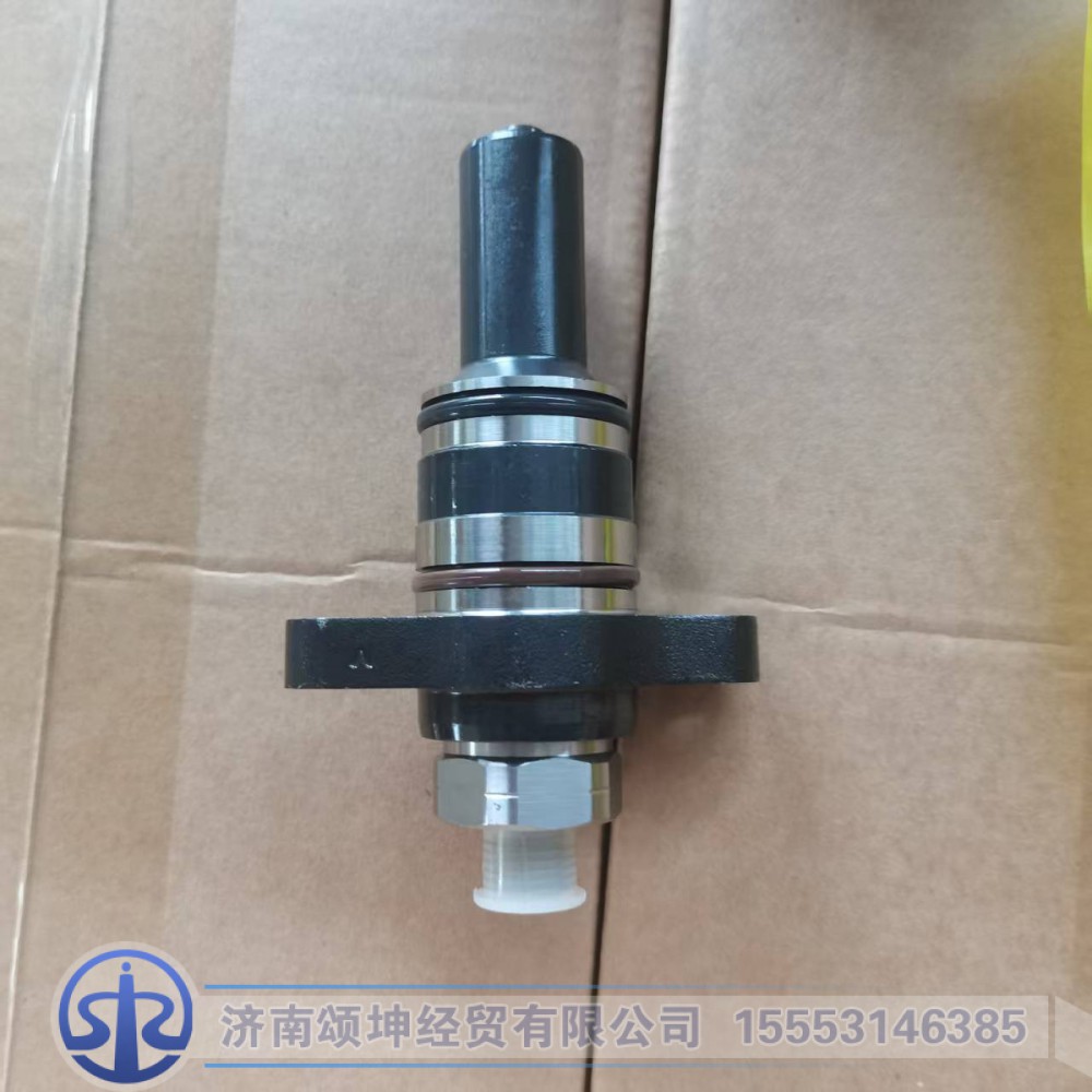 2469403622/F019D003313   柱塞总成