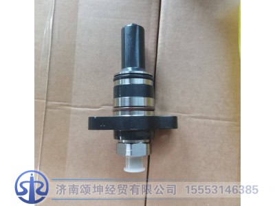 2469403622,柱塞总成,济南颂坤经贸有限公司