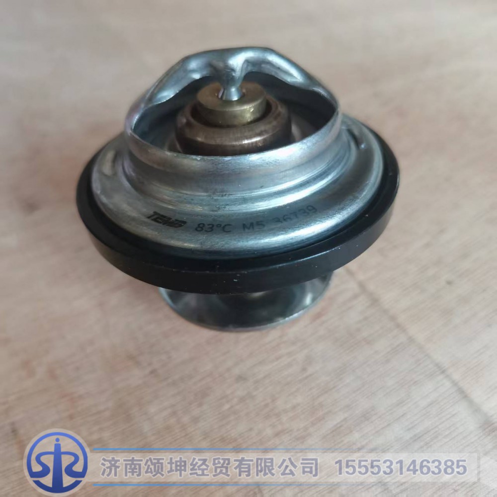 201V06402-6005   节温器