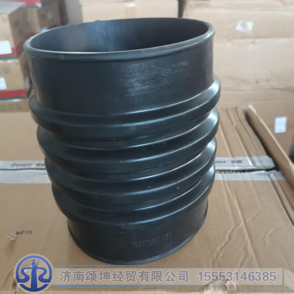 WG9725191356   进气胶管