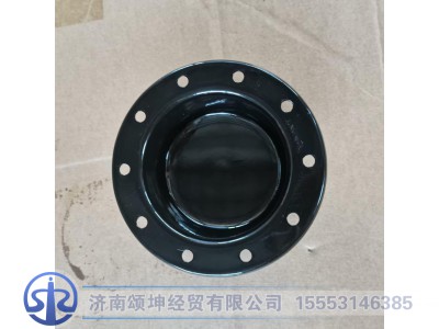 WG9100413068,前轮毂盖,济南颂坤经贸有限公司