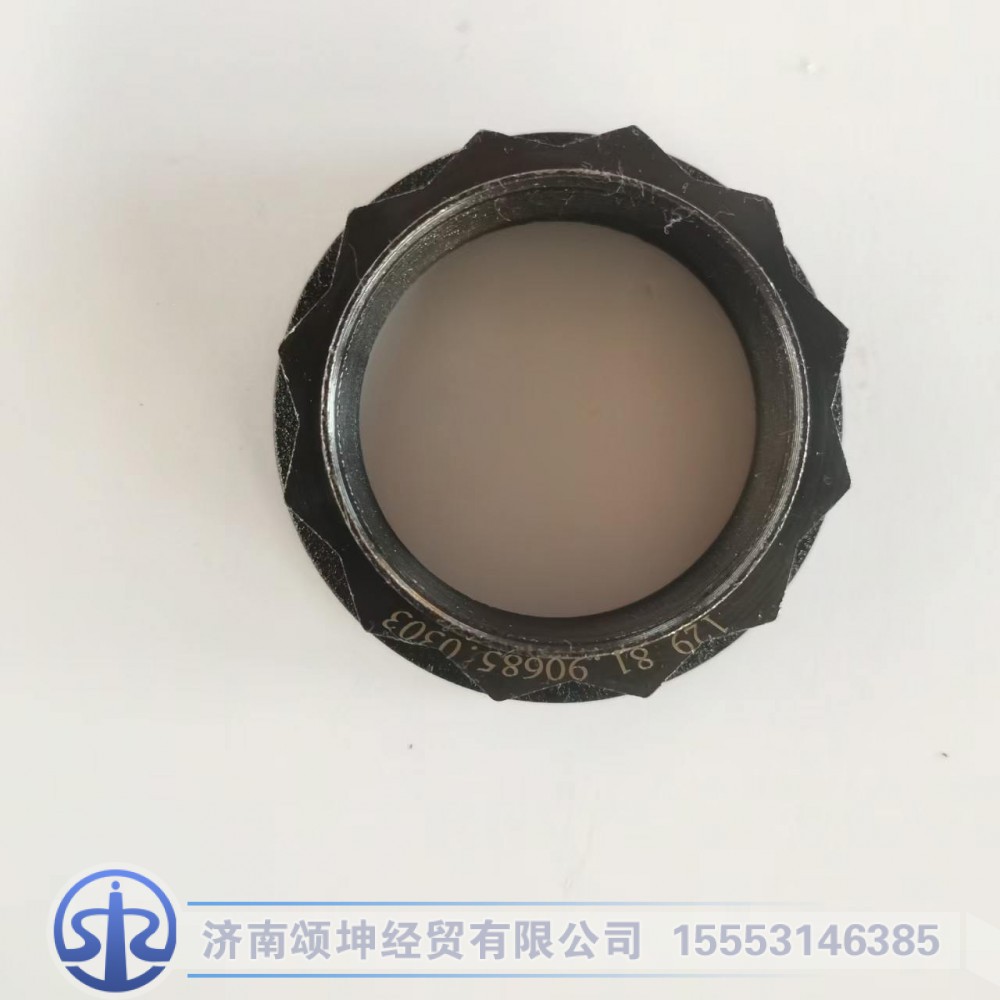 WG9981320106/81.90685.0303   锁紧螺母