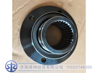 AZ9981320110,角齿凸缘,济南颂坤经贸有限公司