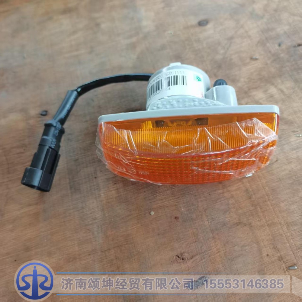WG9925720012/720013   翼子板边灯10款