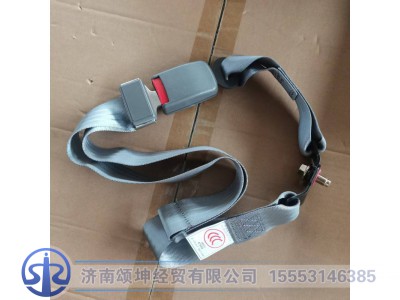 LG1611560030,中间座椅安全带总成,济南颂坤经贸有限公司