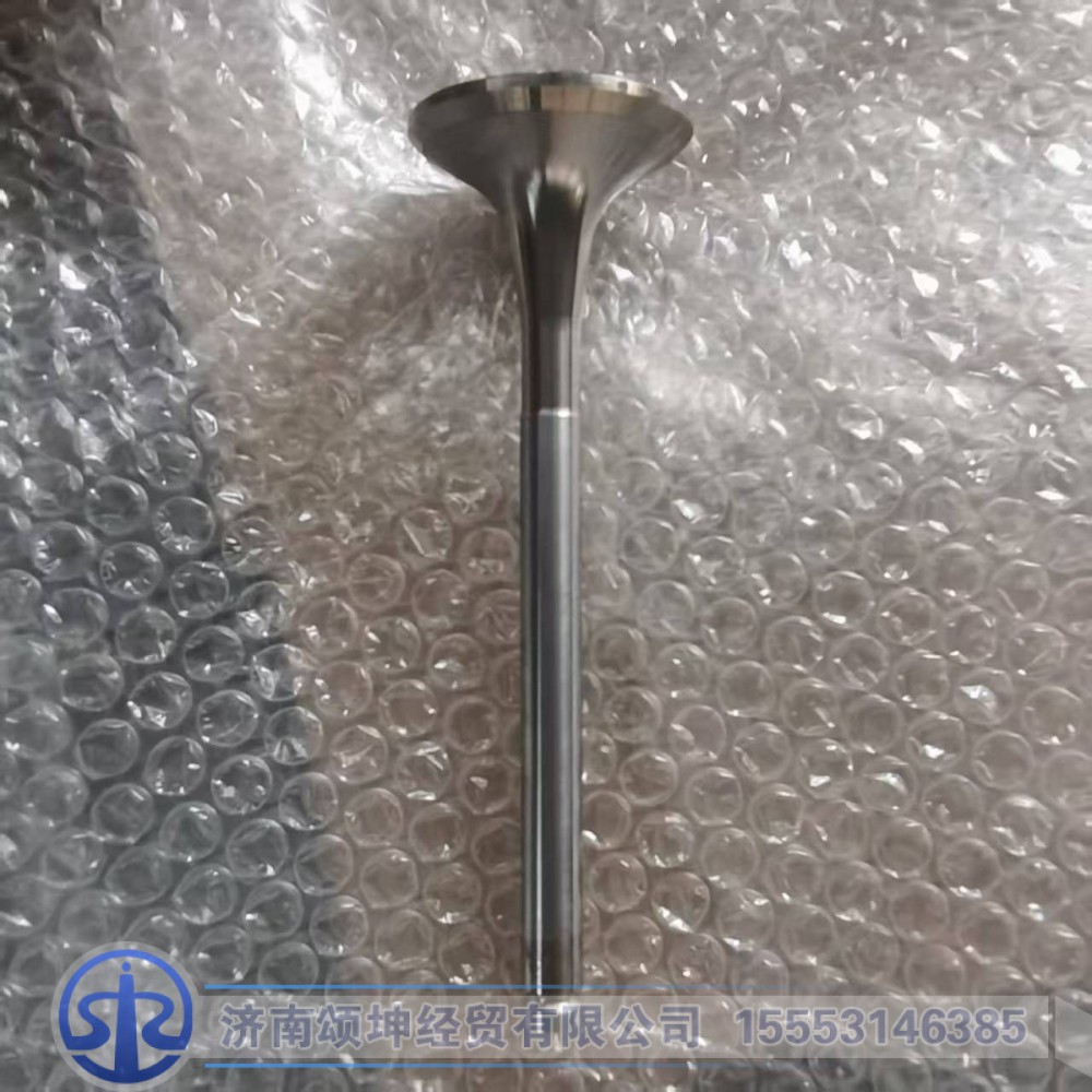 612600050025,排气门,济南颂坤经贸有限公司