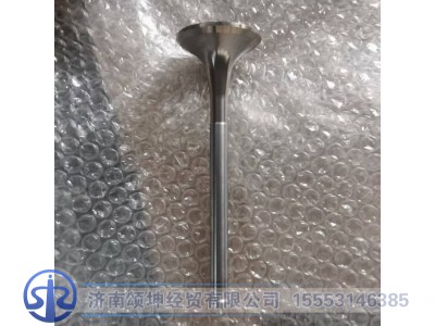 612600050025,排气门,济南颂坤经贸有限公司
