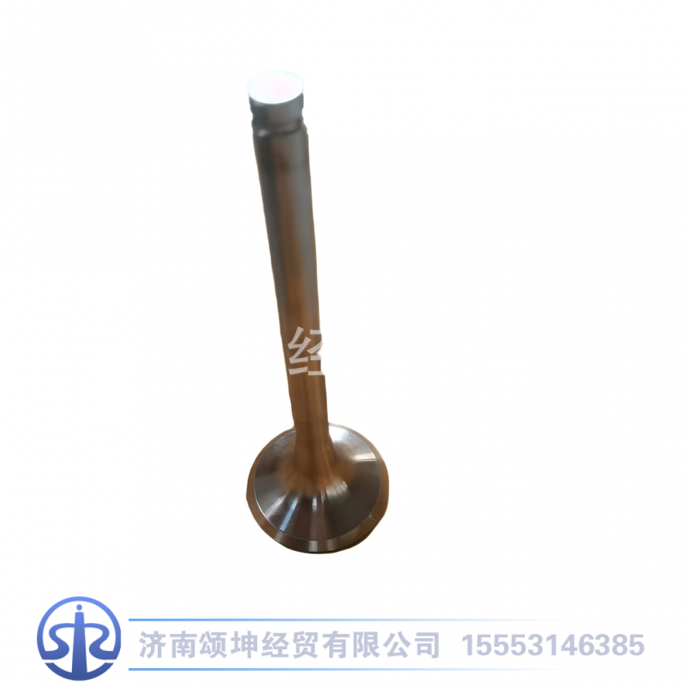 612600050025,排气门,济南颂坤经贸有限公司