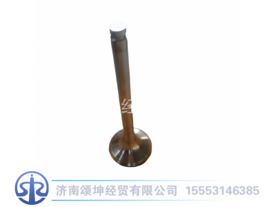 612600050025,排气门,济南颂坤经贸有限公司