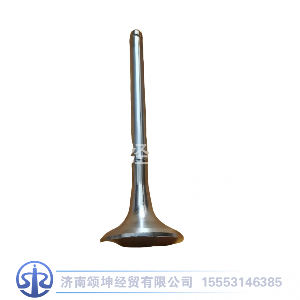 612600050025,排气门,济南颂坤经贸有限公司