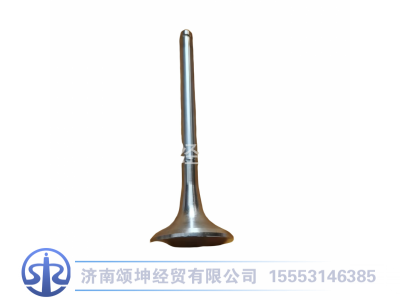 612600050025,排气门,济南颂坤经贸有限公司