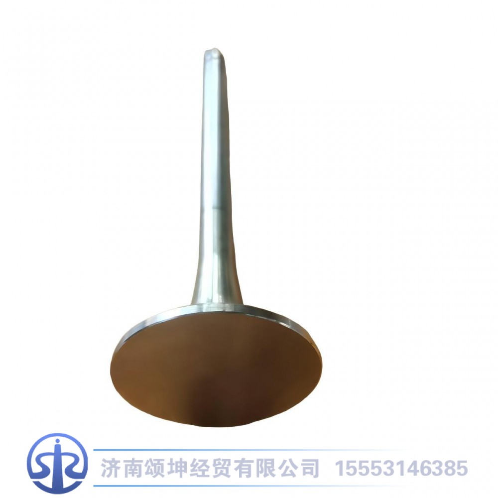 VG1560050041,排气门,济南颂坤经贸有限公司
