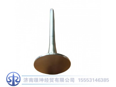 VG1560050041,排气门,济南颂坤经贸有限公司