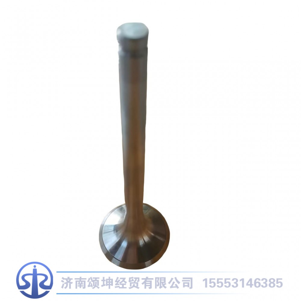 VG1560050041,排气门,济南颂坤经贸有限公司