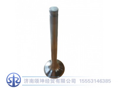 VG1560050041,排气门,济南颂坤经贸有限公司