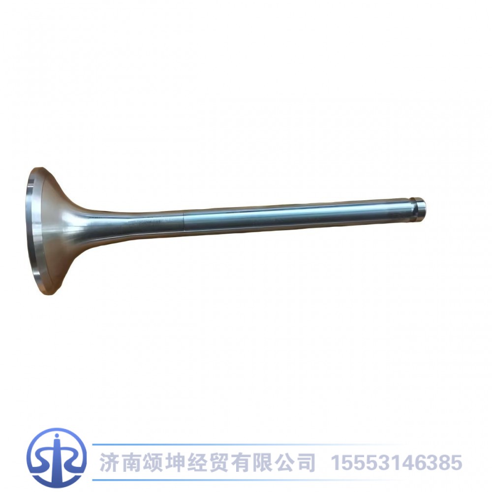 VG1560050041,排气门,济南颂坤经贸有限公司