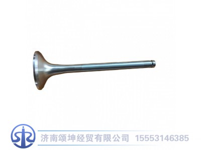 VG1560050041,排气门,济南颂坤经贸有限公司