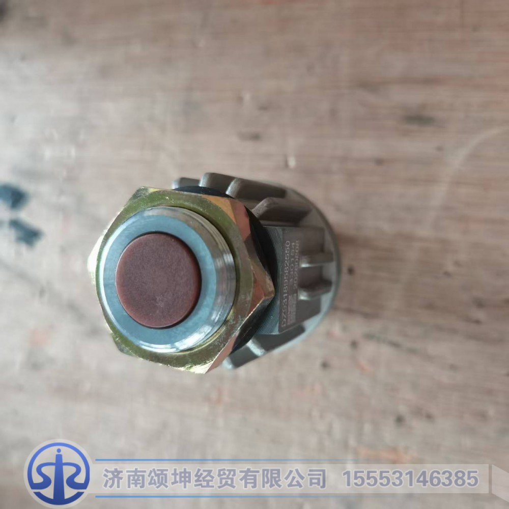DZ93189582550/81.25520.0171    制动开关/DZ93189582550