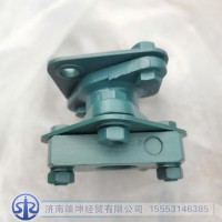 VG1560080300   联轴器总成