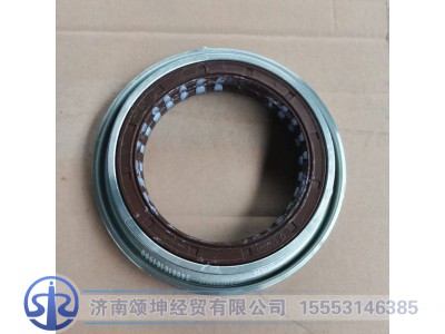 WG7117329017,后桥输入油封及座,济南颂坤经贸有限公司