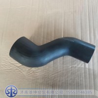 WG9925532009   下水室胶管