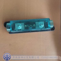 WG9725580006   保险装置100A