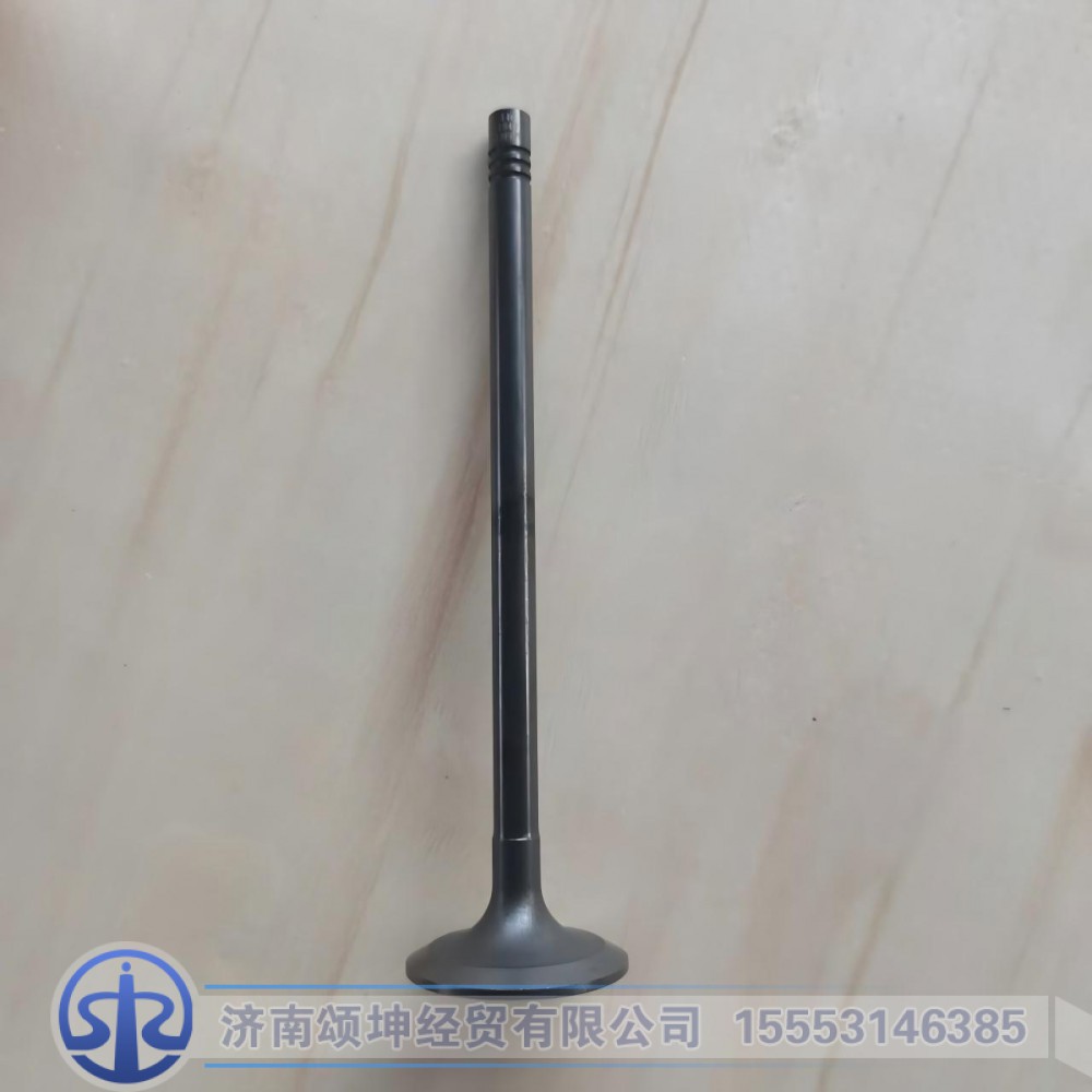 612630050146/612630050001    进气门/612630050001
