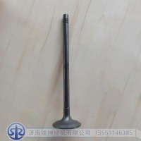 612630050146/612630050001    进气门