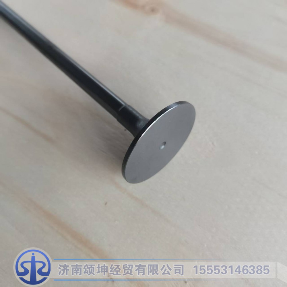 612630050146/612630050001    进气门/612630050001