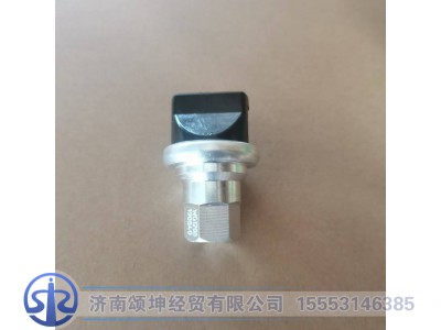 WG1200190040,空滤器指示开关,济南颂坤经贸有限公司