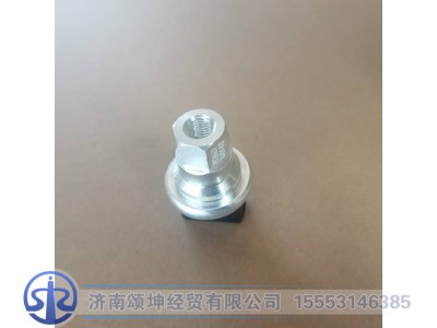 WG1200190040,空滤器指示开关,济南颂坤经贸有限公司