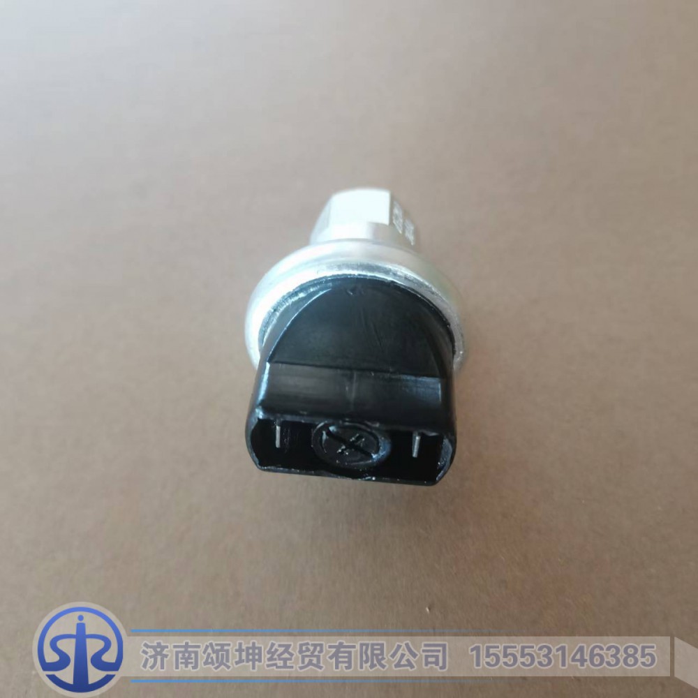 WG1200190040,空滤器指示开关,济南颂坤经贸有限公司