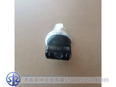 WG1200190040,空滤器指示开关,济南颂坤经贸有限公司