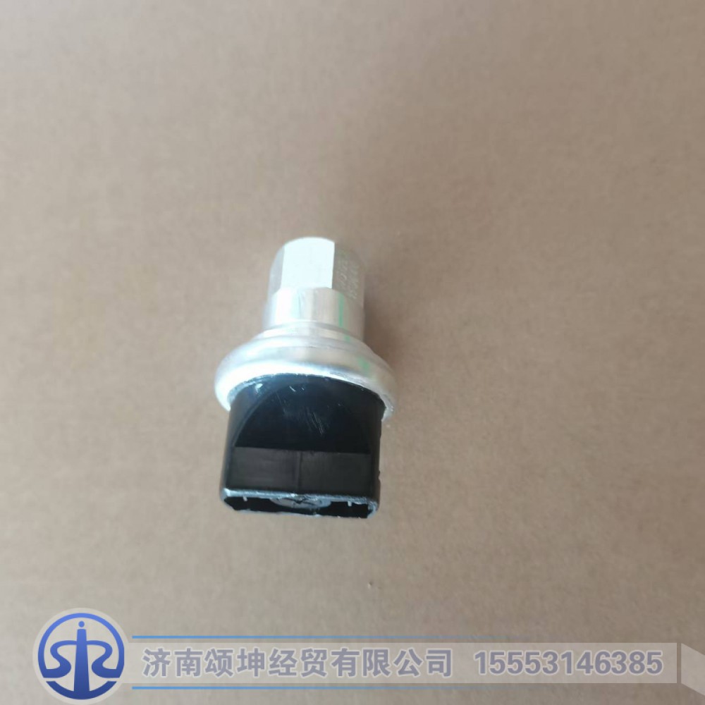 WG1200190040,空滤器指示开关,济南颂坤经贸有限公司
