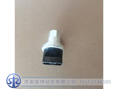 WG1200190040,空滤器指示开关,济南颂坤经贸有限公司