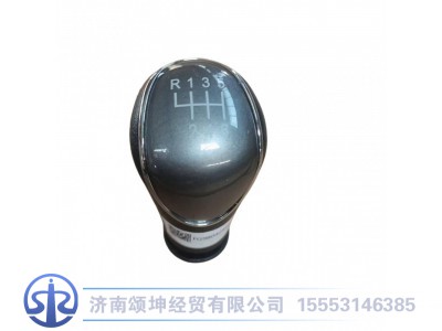 FG9804241017,换挡手柄,济南颂坤经贸有限公司